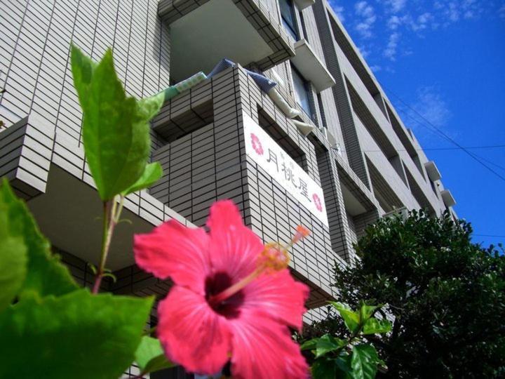 Shimayado Gettoya Ishigaki  Eksteriør bilde